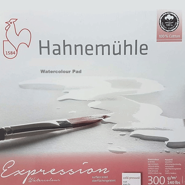 Hahnemühle Aquarellkarton Expression,100% Baumwolle, matt, 300 g/m², 24 x 30cm, 20 Blatt, made in Germany